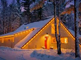 Vermont A-Frame Sleeps10, Hot Tub, Sauna, EV, AC