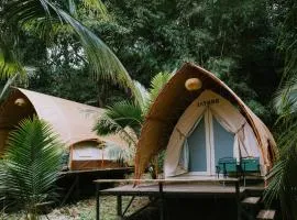 Rừng Cafe & Glamping