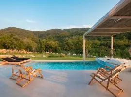 Aristotelia Gi - Premium Luxury Villas with Private Pools