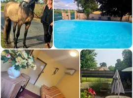 Chambre cosy - Le Pal - Piscine - Chevaux et nature