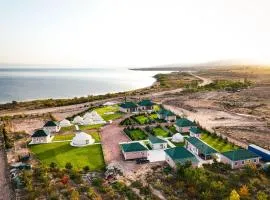 Paradise Tosor