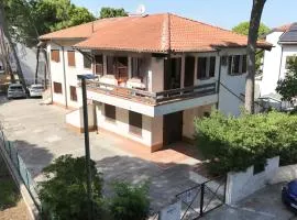Metello