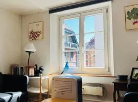 In Swiss Home - Rathaus from 1284 historical Apartment