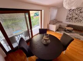 Apartment Novigrad Holiday
