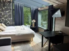 Stunning glass suite in Himosranta
