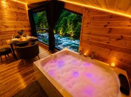 Ayder Prestige Hotel - Suites with a River View, hotell sihtkohas Çamlıhemşin