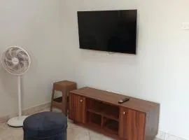 Comfortable global apartments