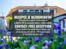 Amenity Penzion Horni Vestonice