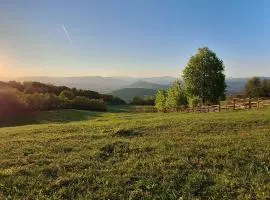 Cabana retrasă în mijlocul naturii