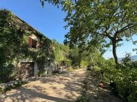 Casa Immersa nel verde
