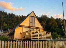 Wooden cottage in Svaneti