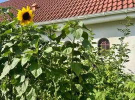 Langagergaard B&B - Thy