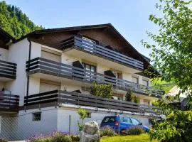 Elfe-Apartments FerienMietWohnungen