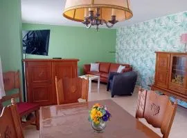 Altes Schuhhaus