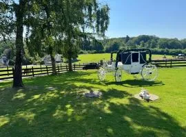 Pferdehof Hacke - Ferienwohnungen & Gästezimmer