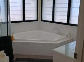 Beautiful large queen room and spa bath bathroom
