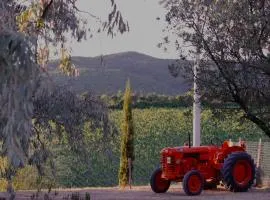 Podere Ortacavoli