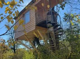 Tree House & Camping Goris