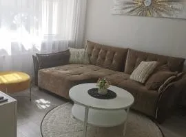 Buto nuoma Plungėje