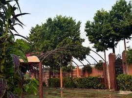 Amaala Resort