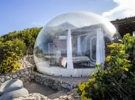Seeplaas Premium Bubble Tent