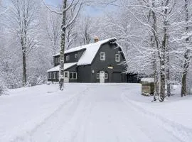 Slippery Slope Chalet, Hot tub, Arcade, Firepit, 5 min to Base, Nightlife and Restaurants