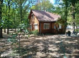 Chalet en Sologne