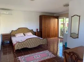 Vila Nikolic