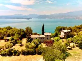 Tenuta degli ulivi
