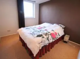 City Centre Property