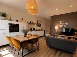 Appartement cozy proche Sancy