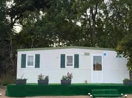 Bohemica Garden Homes