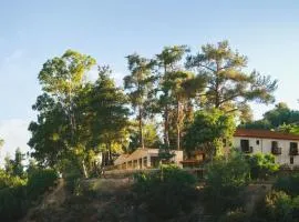 Pine View Boutique Hotel Adults Only