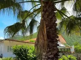 Albseina guesthouse