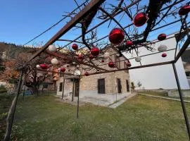 Elati's old traditional house