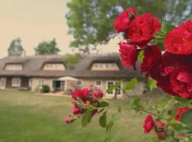 Metsara B & B