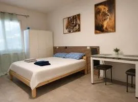 Mercury Room