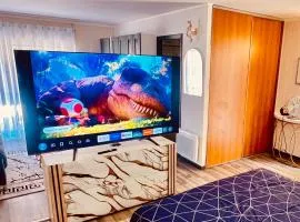 Loft moderne & Calme ,Grand Écran 75" et grand parking