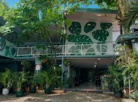 Red Frog Rooms