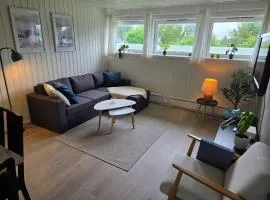 Cozy pedestrian apartment