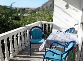 Vesela vila