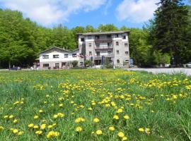 Albergo Le Macinaie - Monte Amiata, hotel in Castel del Piano