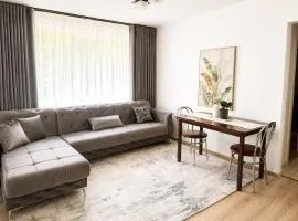 Apartament Central Pietonalul Unirii