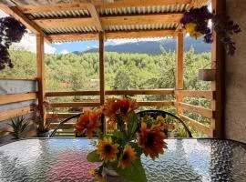 Apartment in Mestia