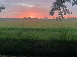 De Rust