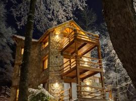 Paihuen - Resort De Montaña – hotel w mieście San Martín de los Andes