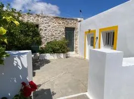 Orange garden
