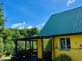 Apartament „Pod Zielonym Dachem”