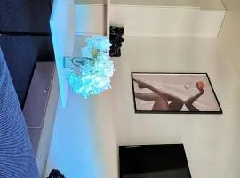 Suite Studio Moderne Quartier du Flon