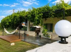 Country Village House